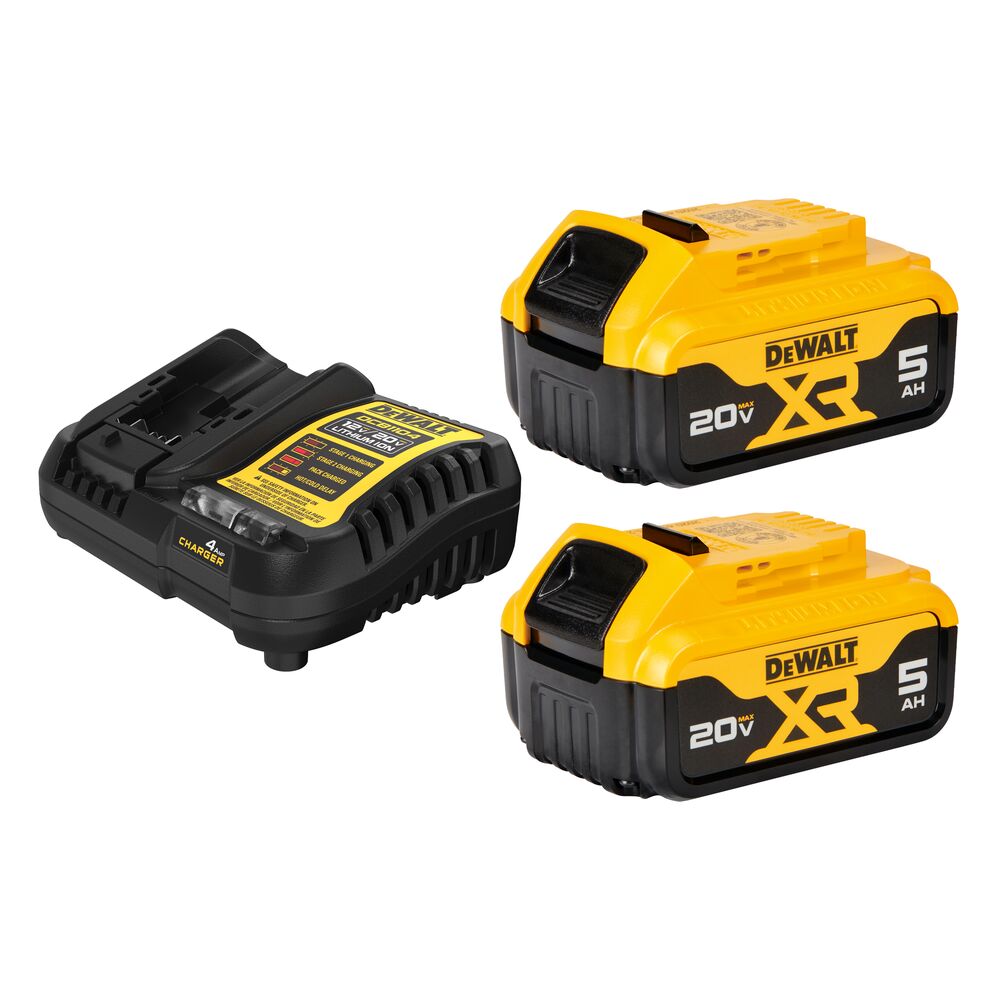 20V MAX* Li-Ion Battery 2-Pack (5.0 Ah