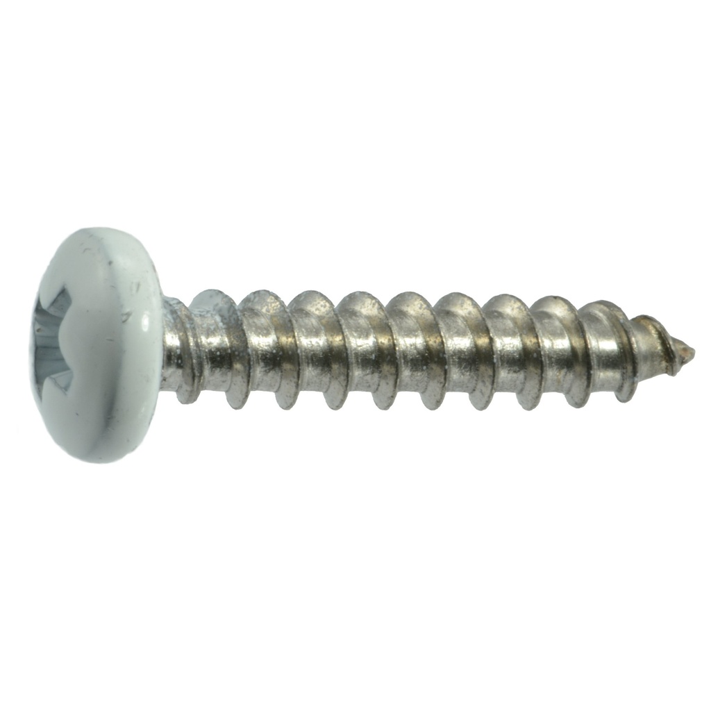 10 x 1 Wht Pan Shutr SS