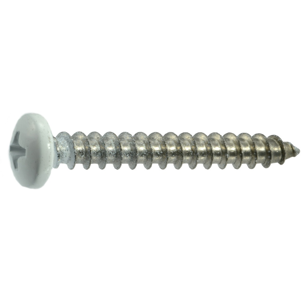 10 x 1-1/2 Wht Pan Shutr SS