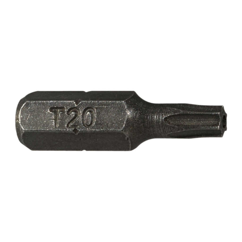 T20 x 1" Str Security Bit