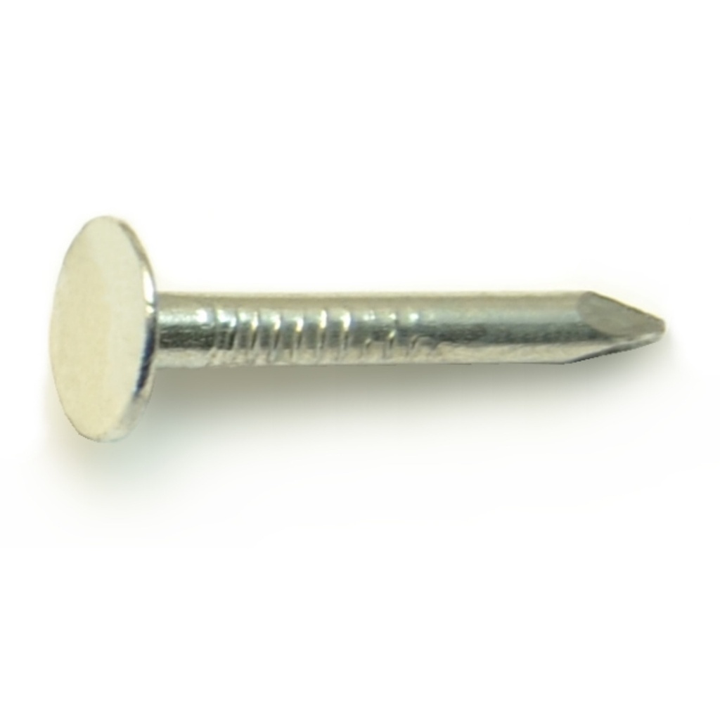 1" Roofing Nail
