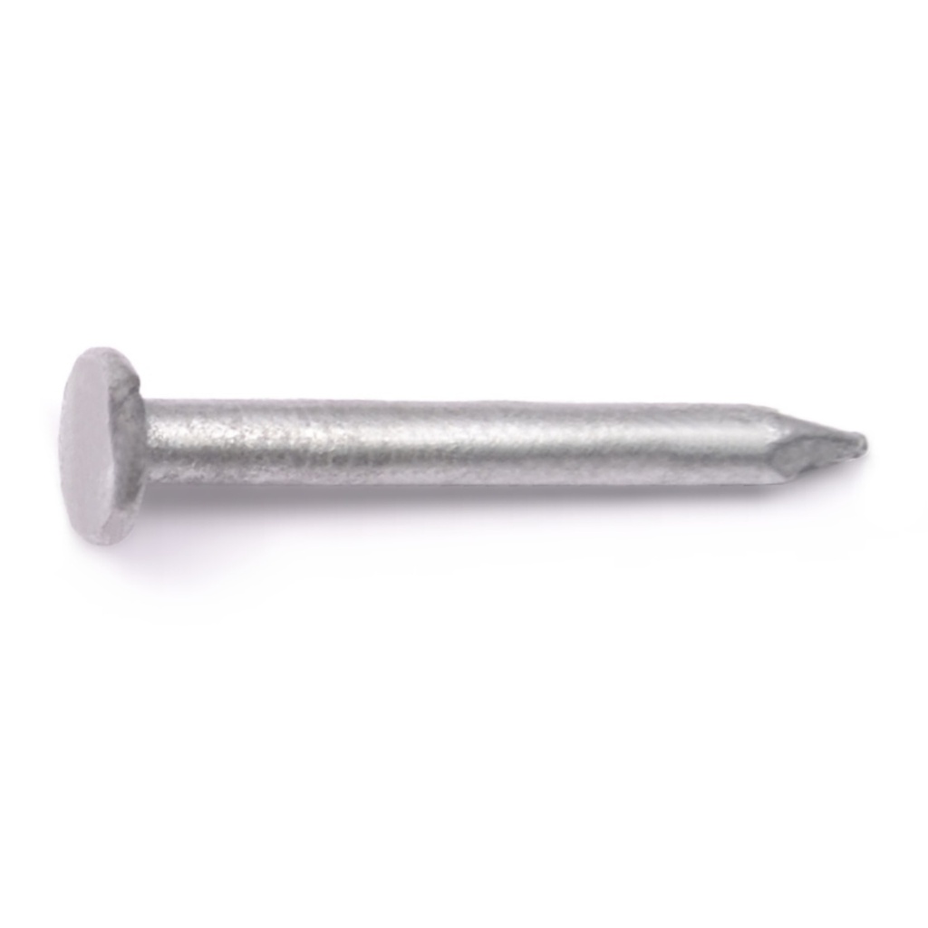 1-1/2" Joist Nail HDG