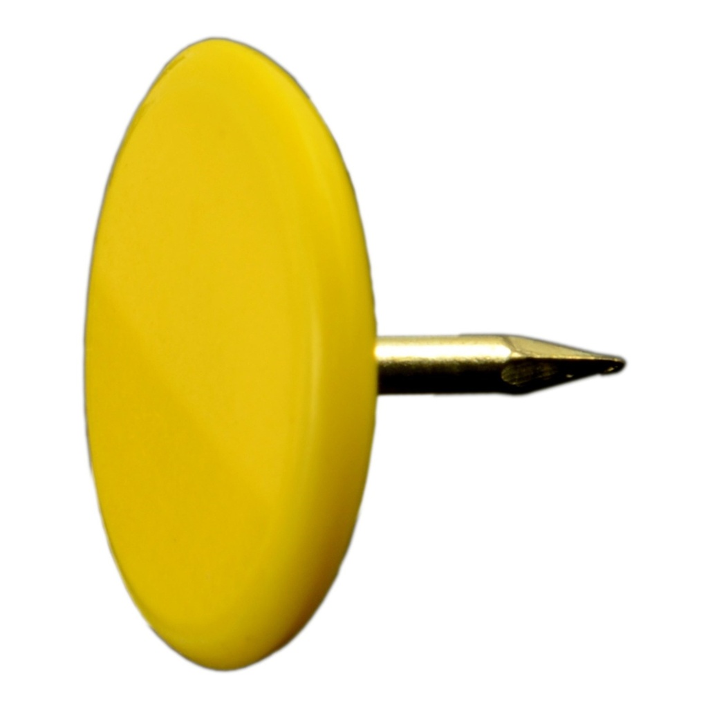 Yellow Thumb Tacks