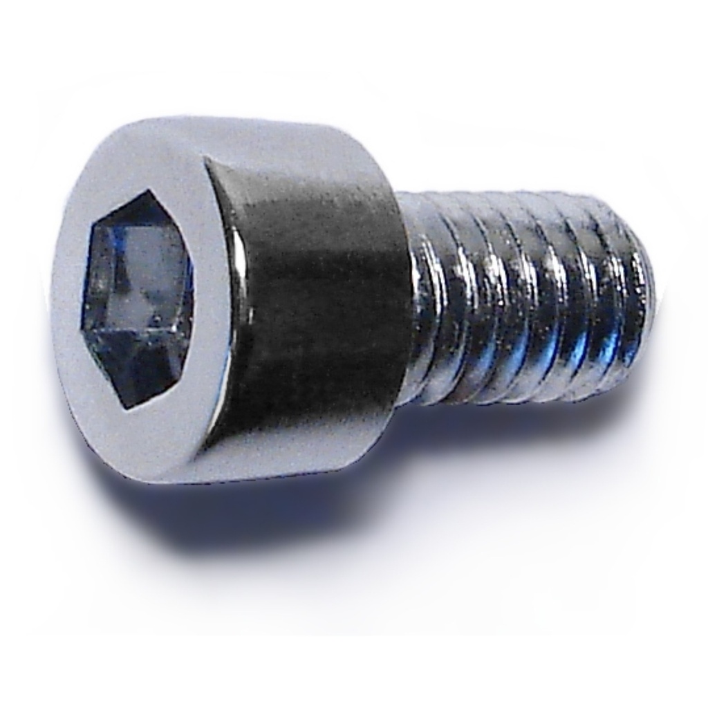 6mm-1.0 x 10mm Smoth Sockt Chrm
