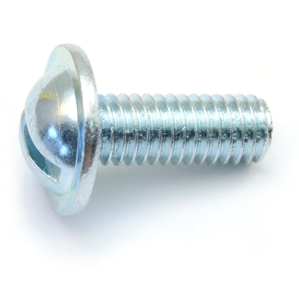 6mm-1.0 x 16mm Slot Rd Head