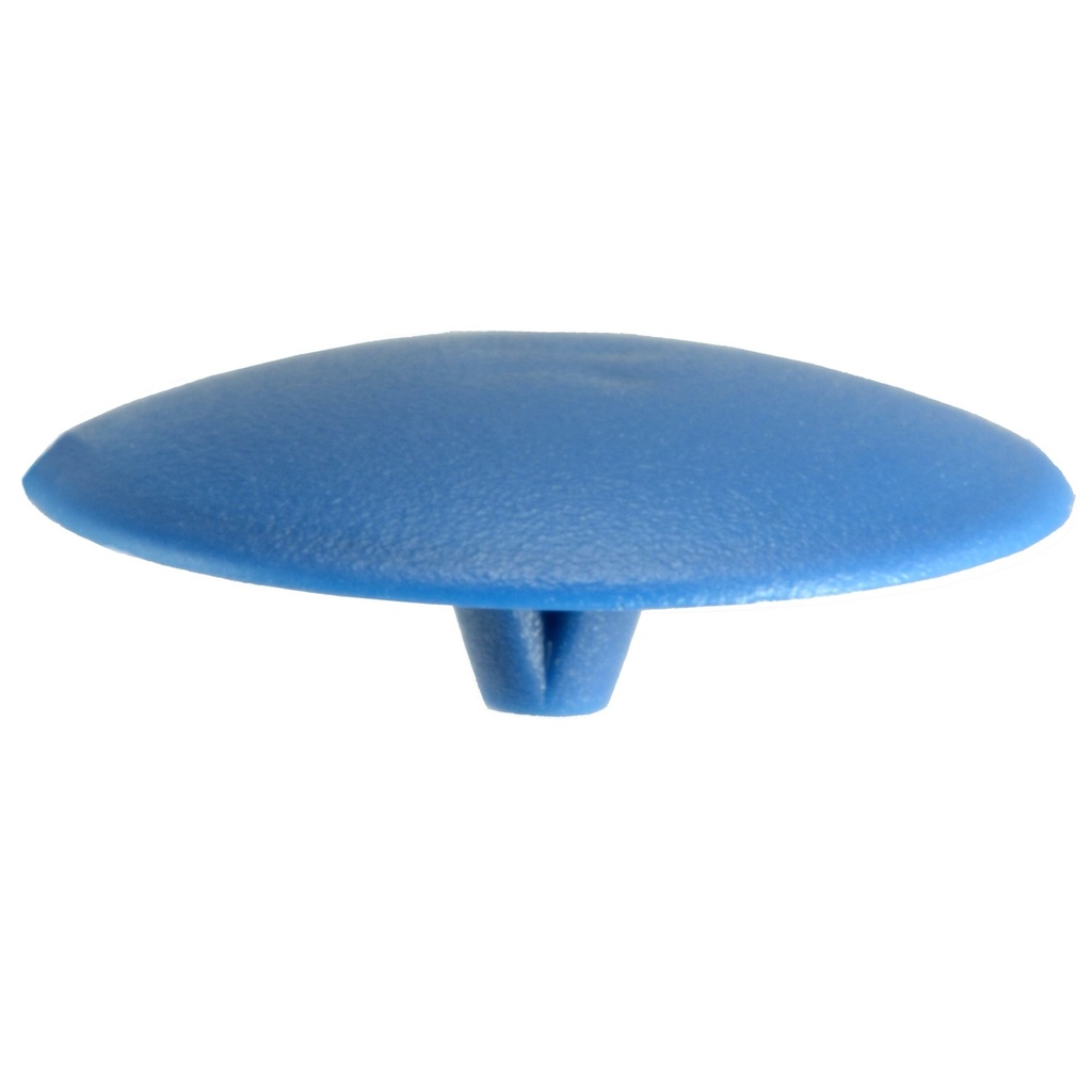 #10 Blue Tap on Screw Cvr