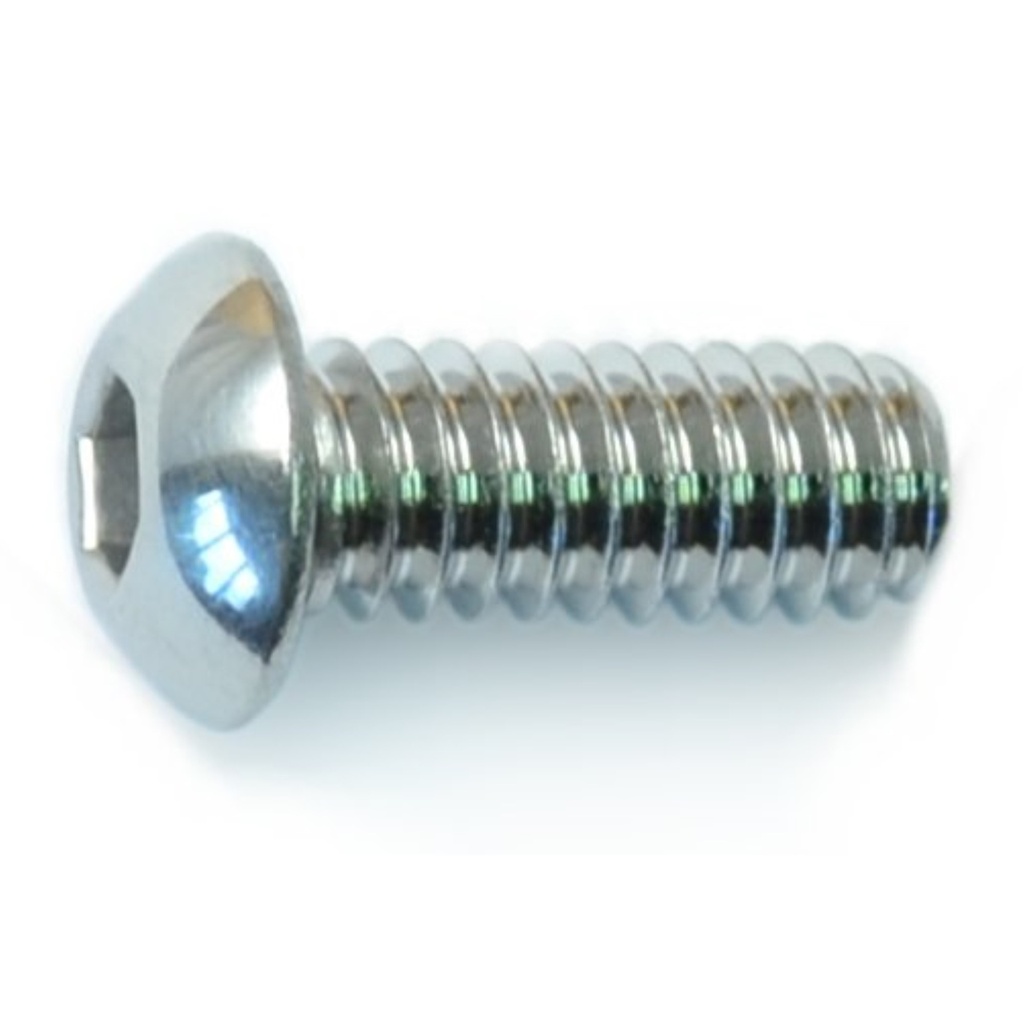 1/4-20 x 5/8 Button Sckt PlSS