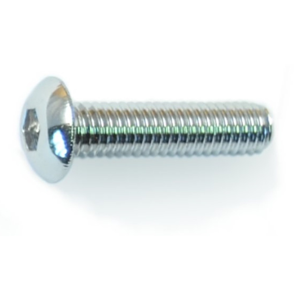 10-32 x 3/4 Button Sckt PlSS