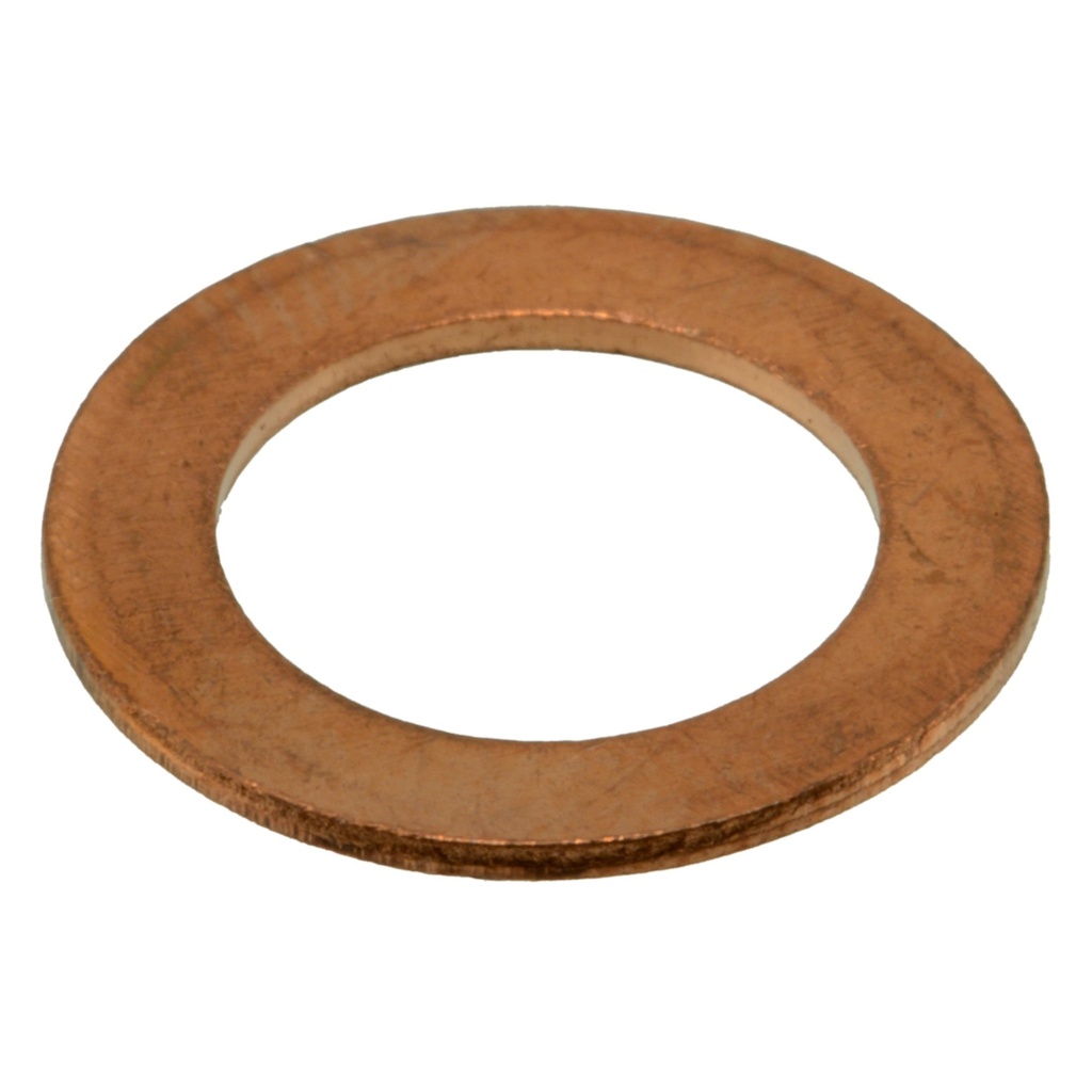 10mm x16mmx1mm Cpr Sealing Wshr