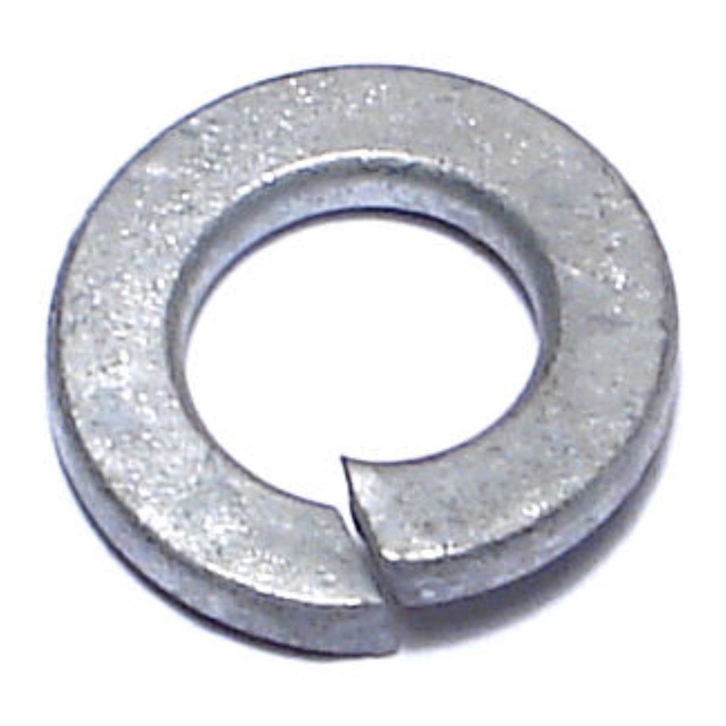 5/16 Sp Lock Wash HDG