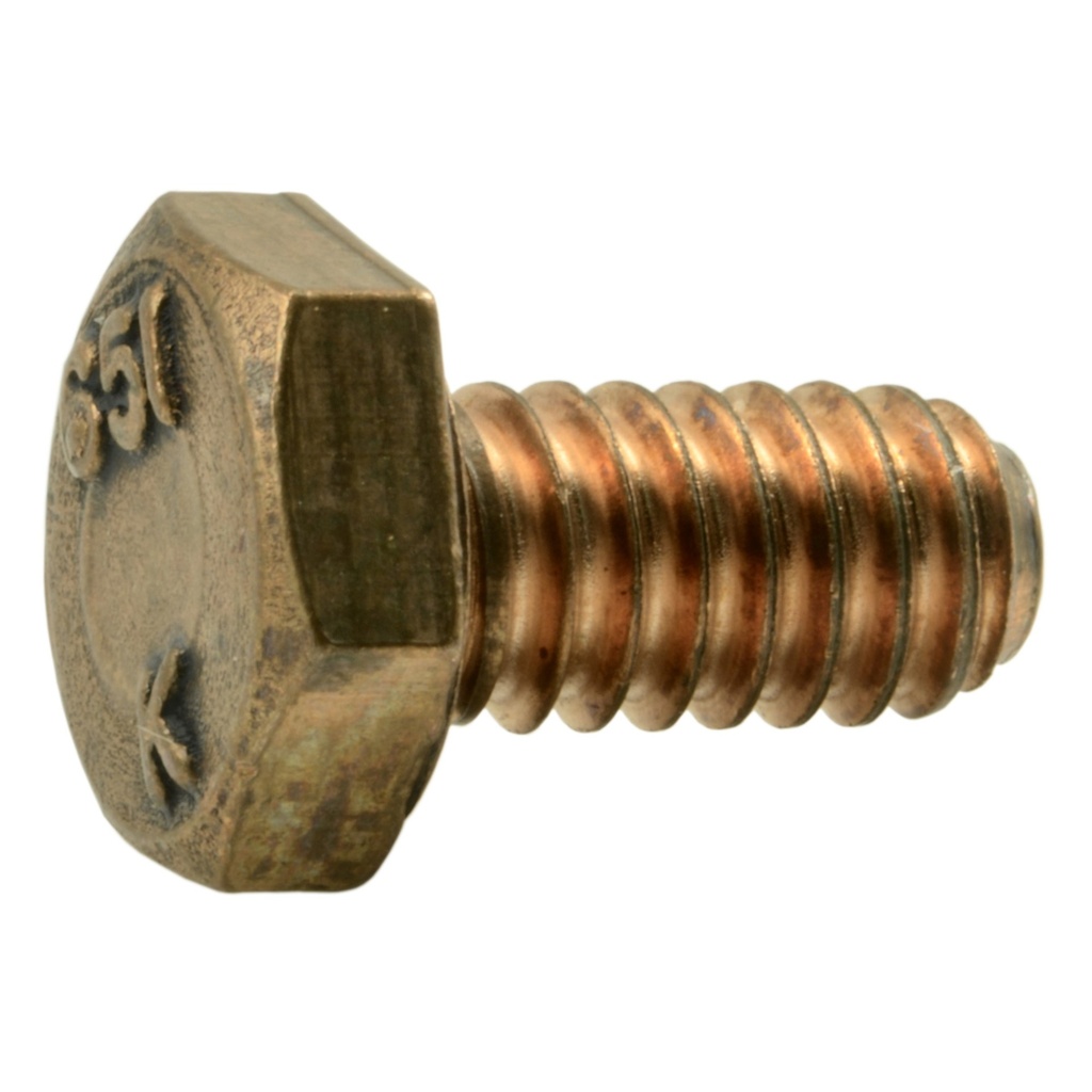 1/4-20 x 1/2 Hex Cap Scr SlBz