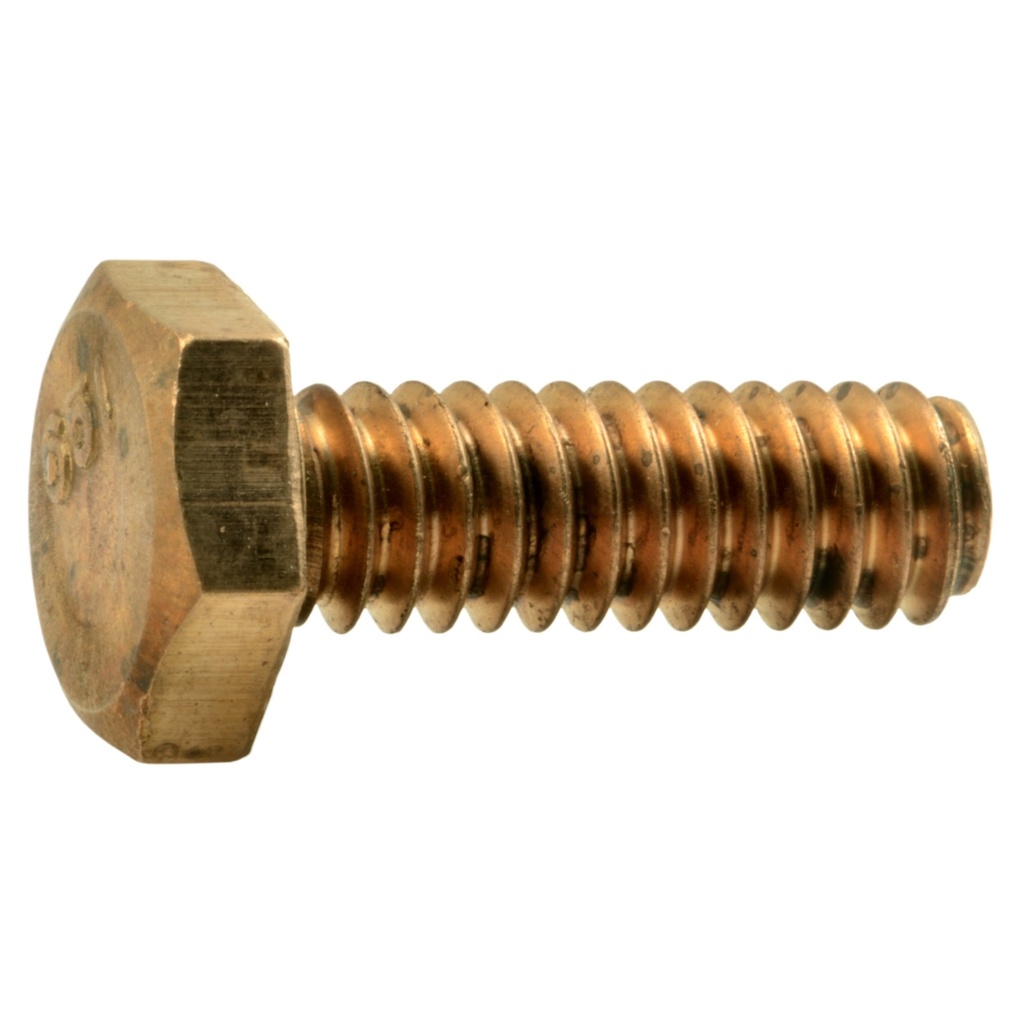1/4-20 x 3/4 Hex Cap Scr SlBz