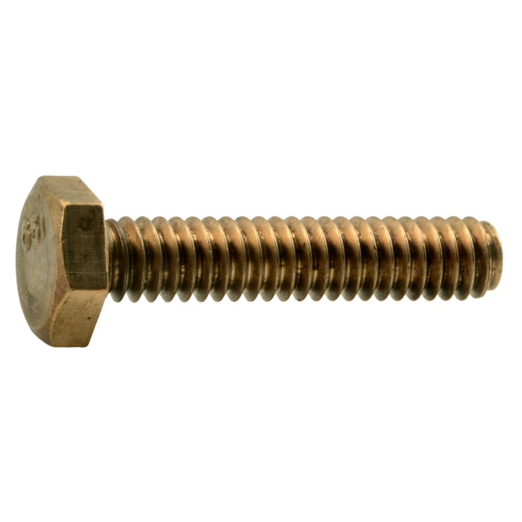 1/4-20 x 1-1/4 Hex Cap Scr SlBz