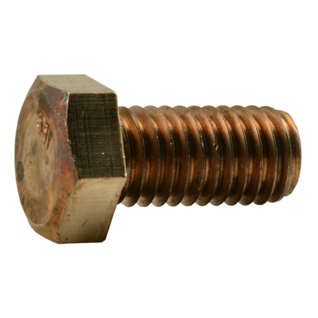 1/2-13 x 1 Hex Cap Scr SlBz