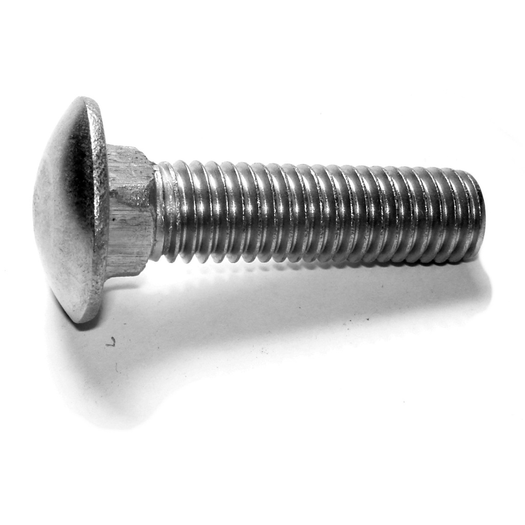 1/2-13 x 2 Carriage Bolt SS