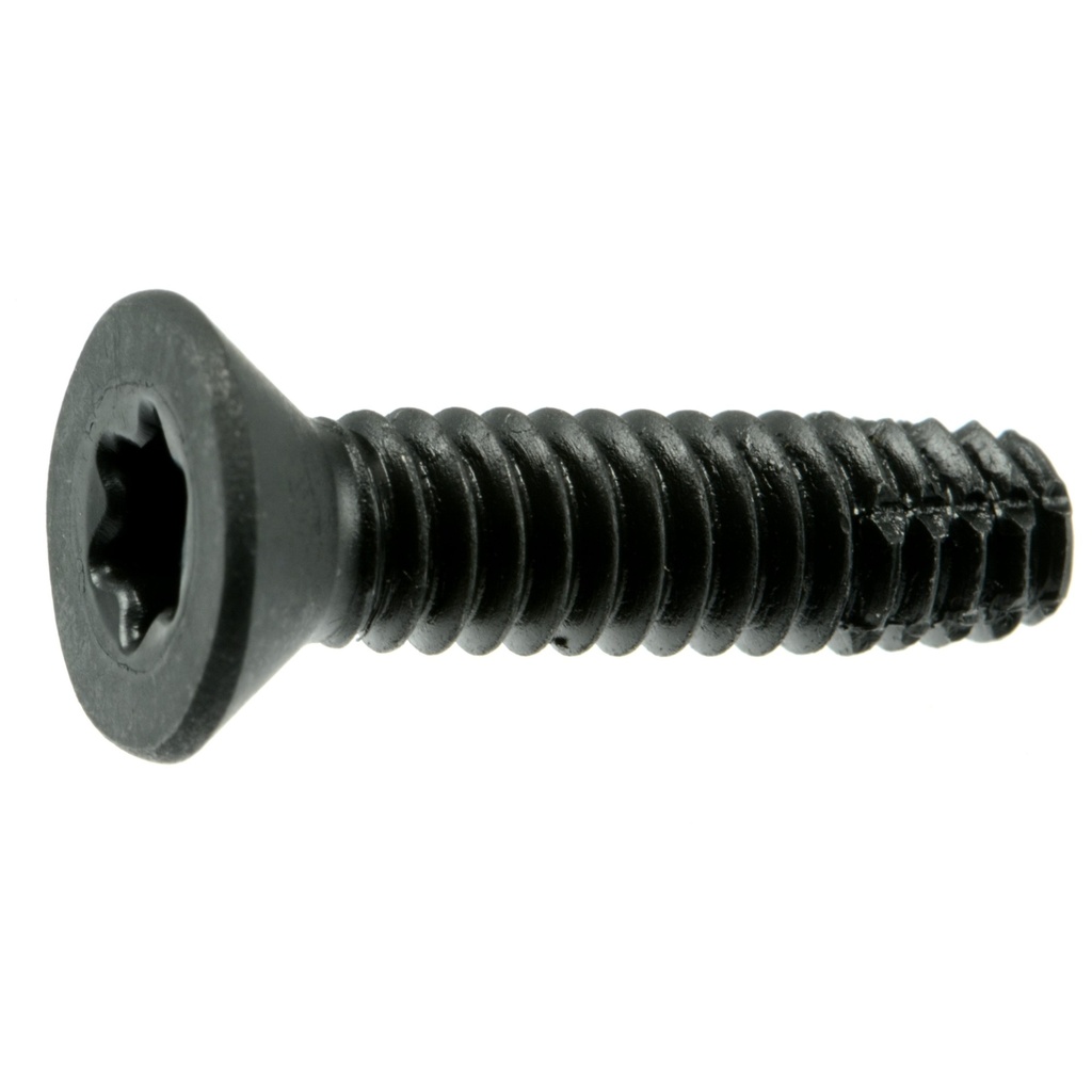 1/4-20 x 1 Star Flr Scrw 1#