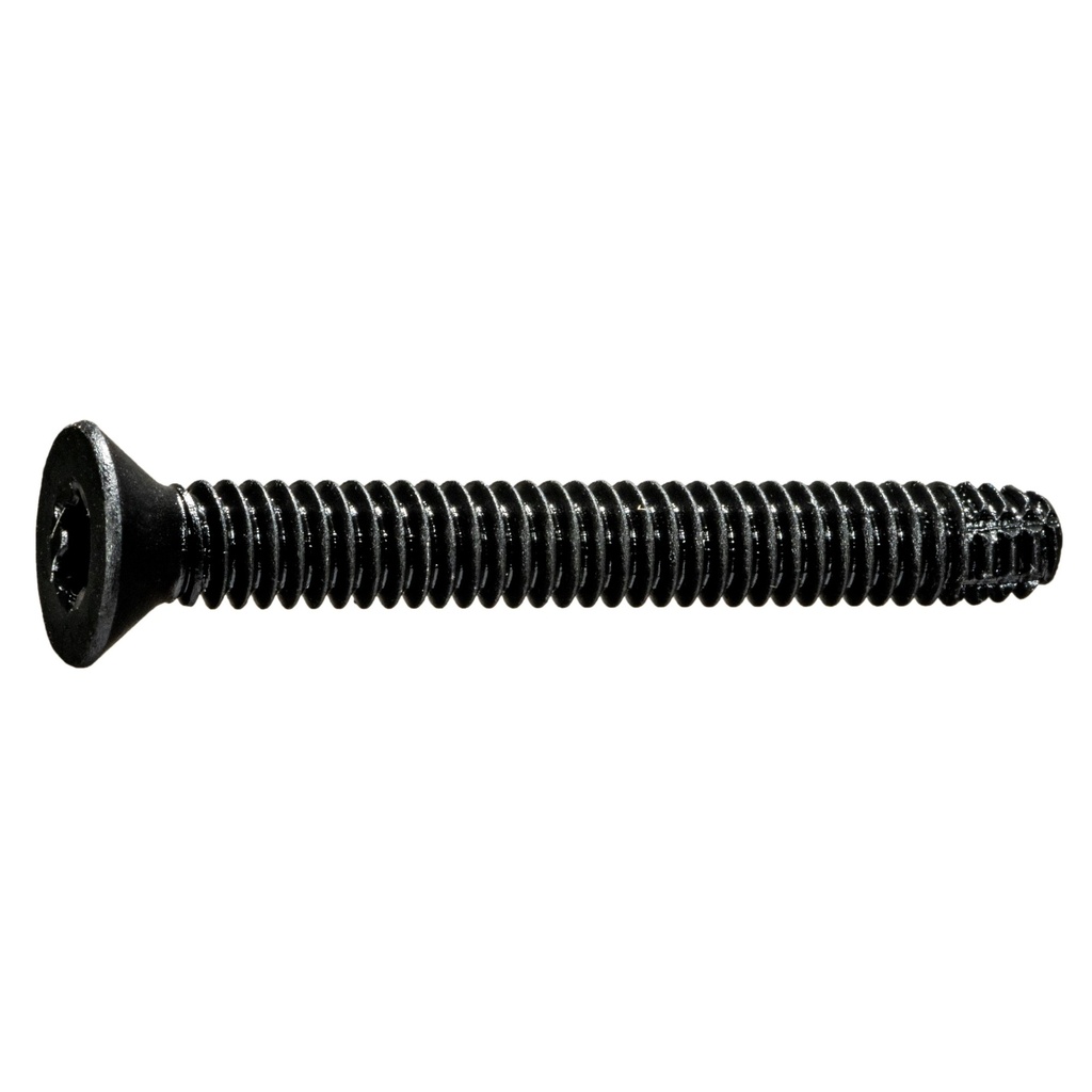 1/4-20 x 2 Star Flr Scrw 5#
