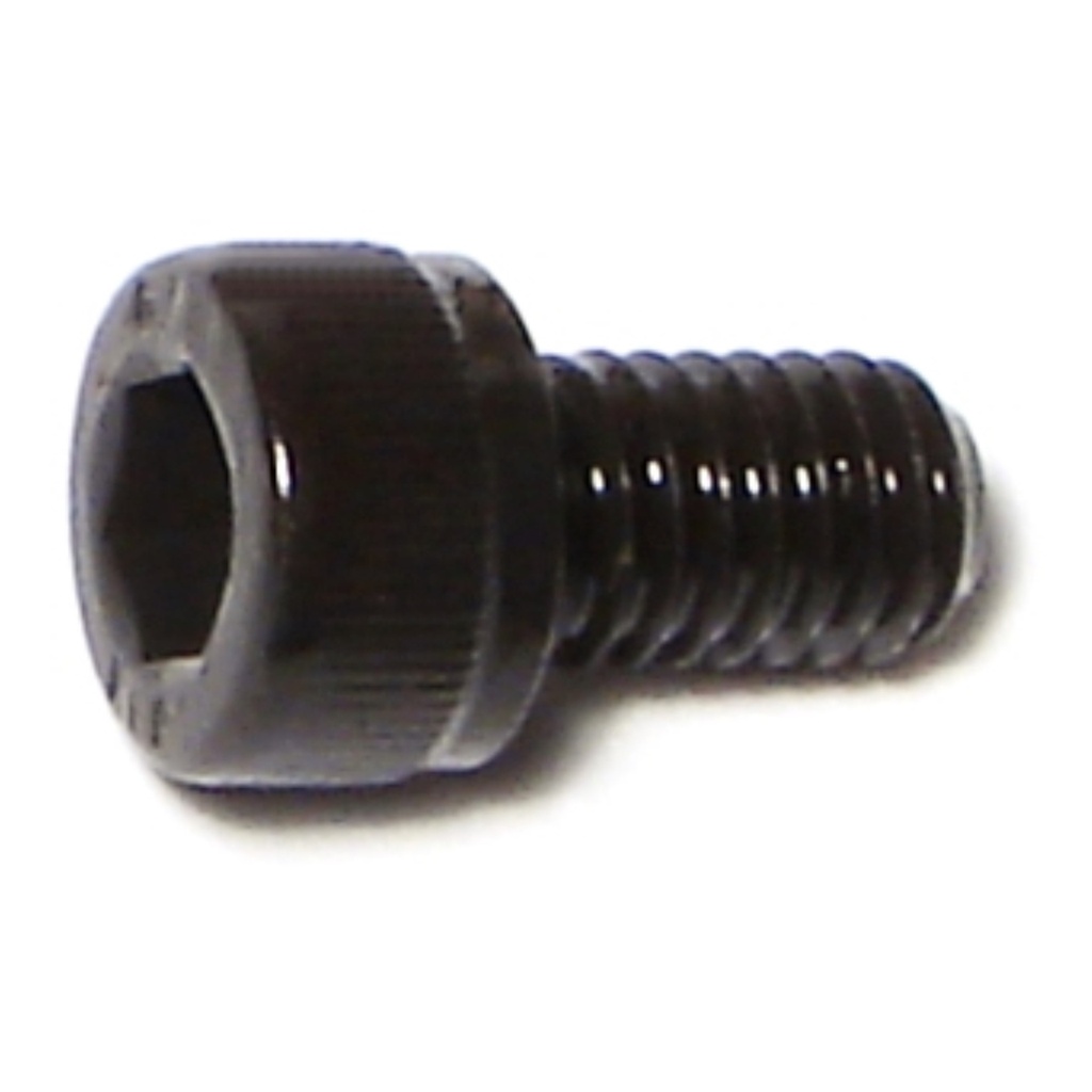 6mm-1.0 x 10mm Socket Cap 12.9