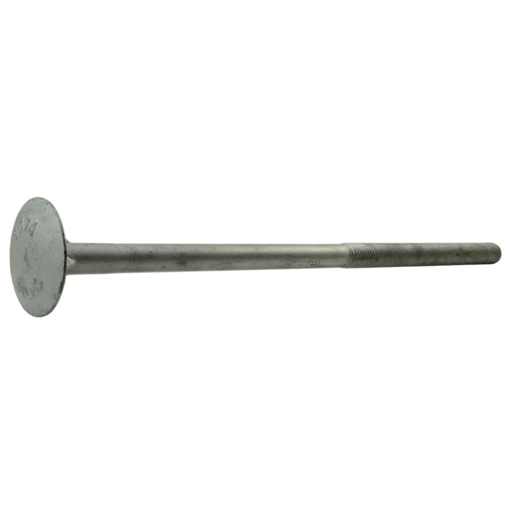 5/8-11 x 14 Dome Timber HDG