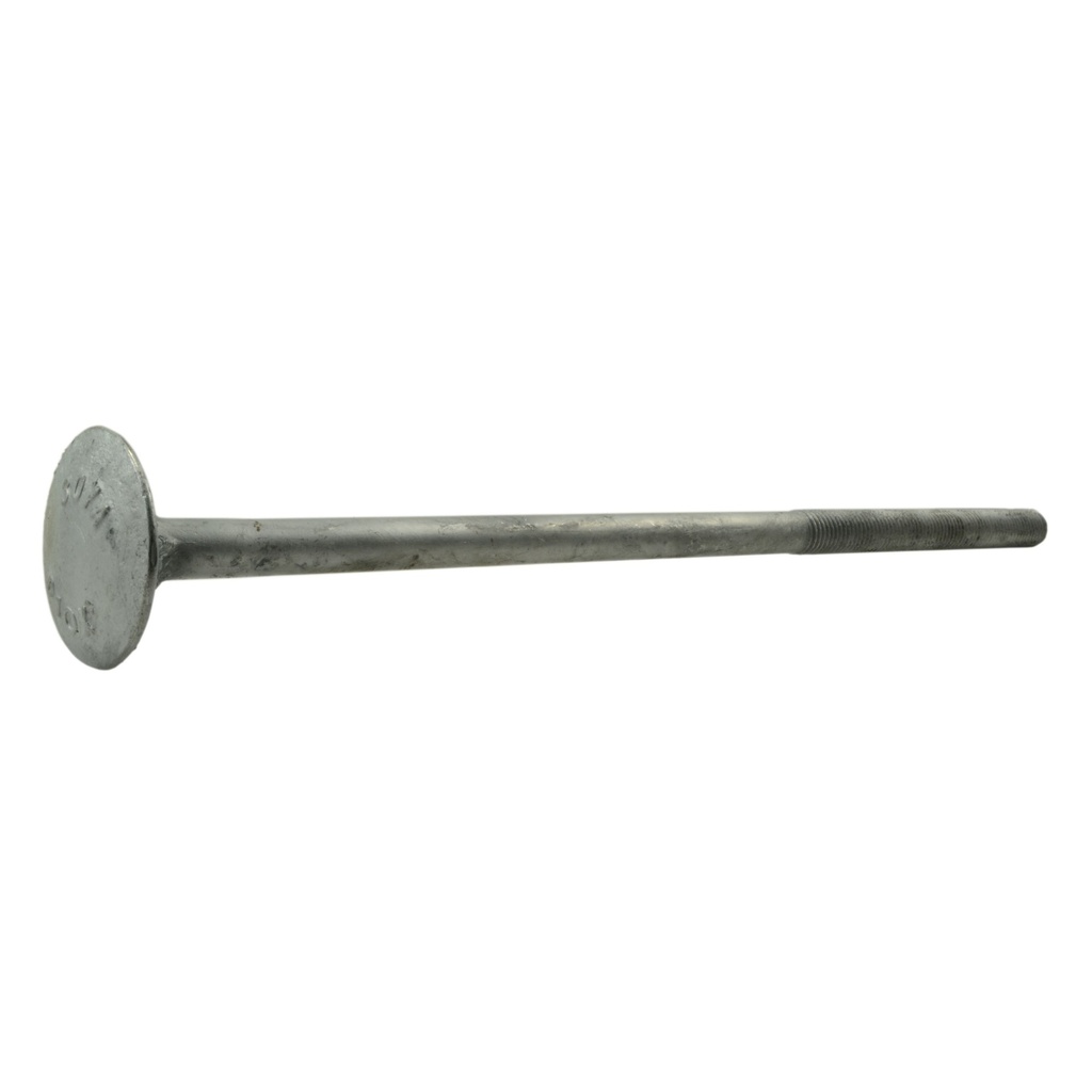 5/8-11 x 16 Dome Timber HDG