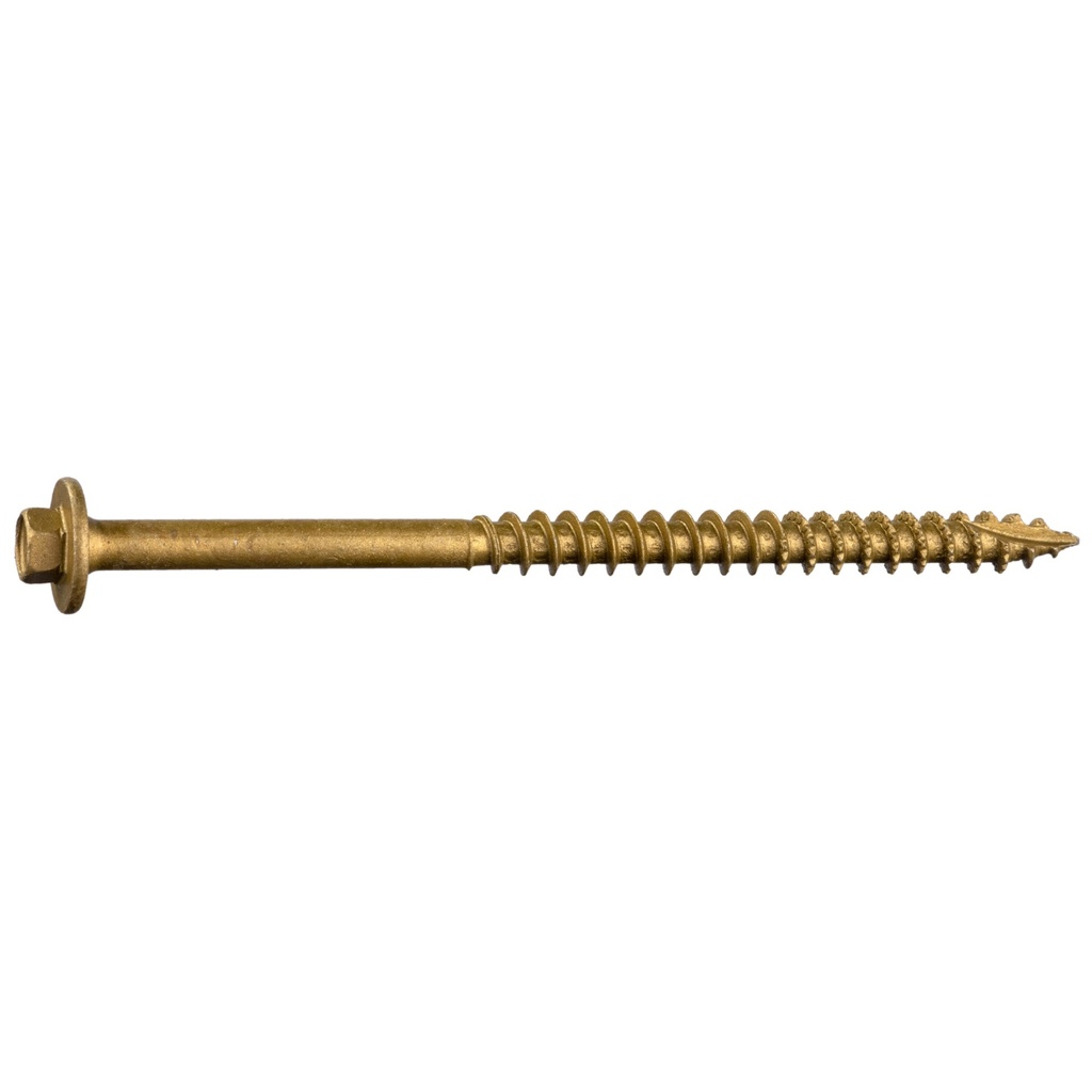 3/8 x 5 LdrBd Sc Tan 10#