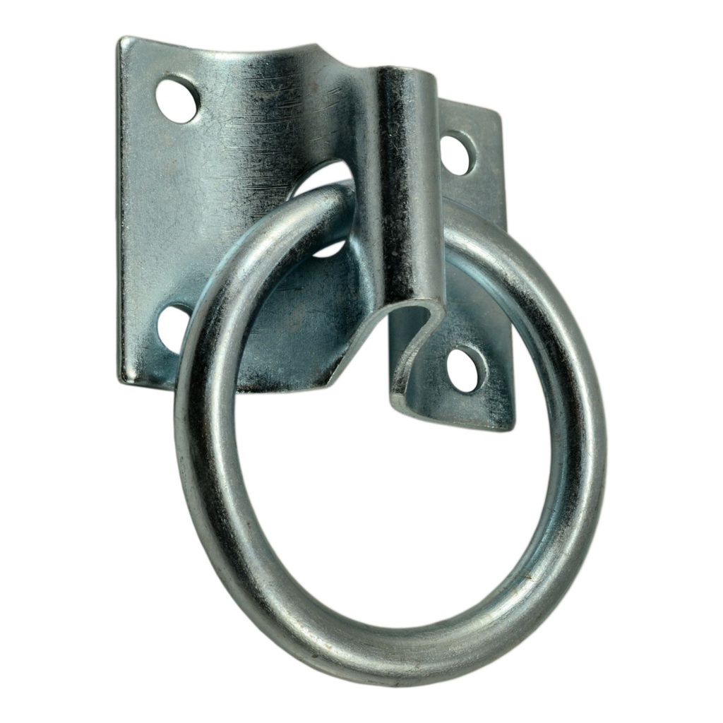 5/16 x 2 Htch Ring Plt Zn