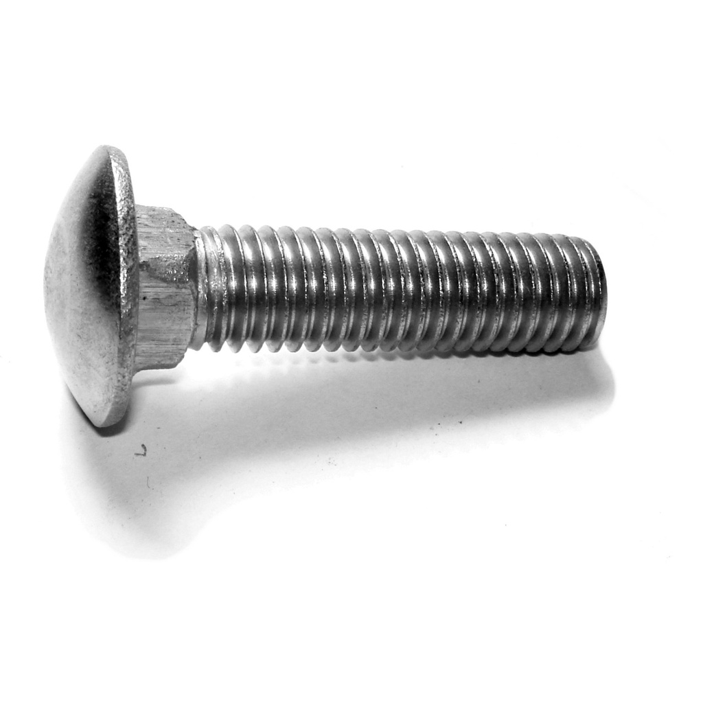 1/2-13 x 2 Carriage Bolt SS