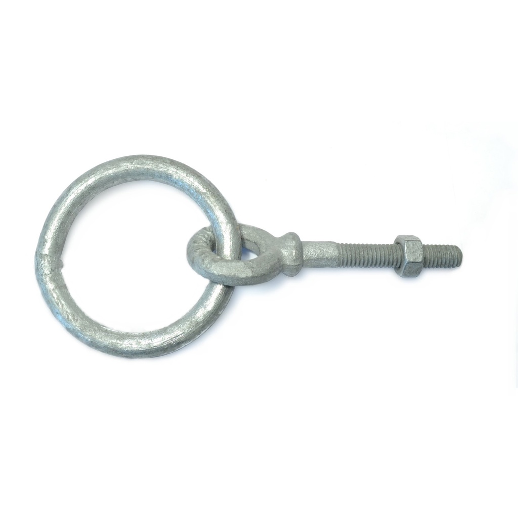 5/16-18 x2-1/4 Shld RingBlt HDG