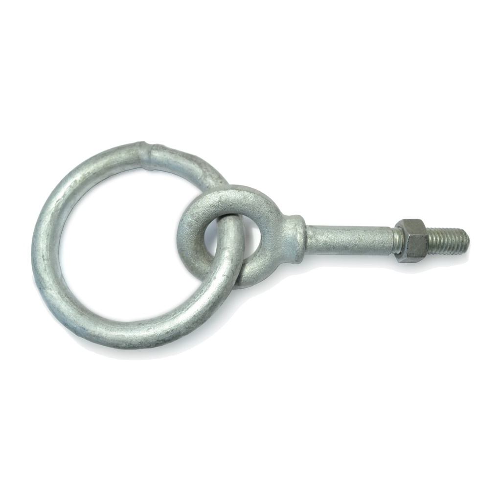 1/2-13 x 3-1/4 Shld RingBlt HDG