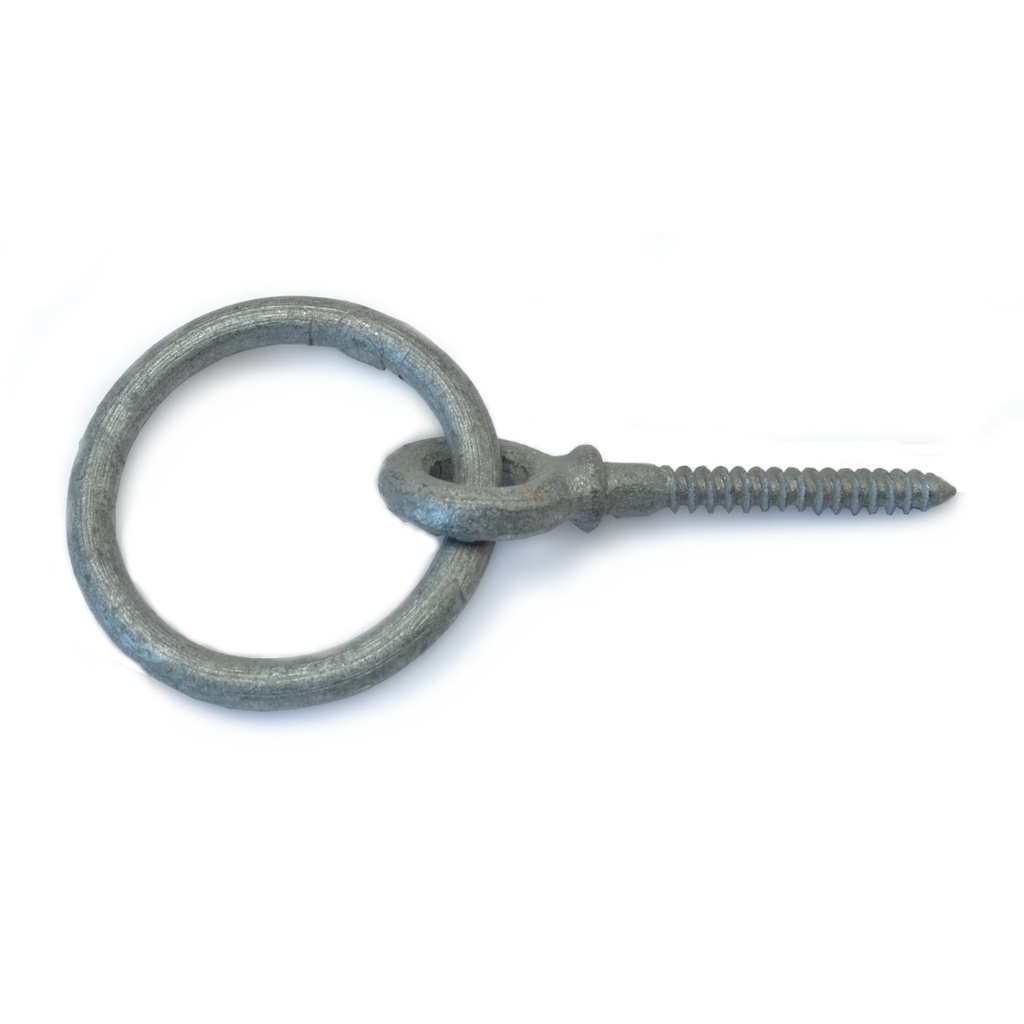 1/4 x 2 Shld RingLag HDG