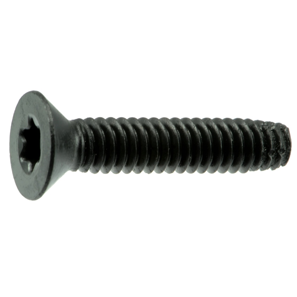 1/4-20 x 1-1/4 SD Floor Scr 1lb