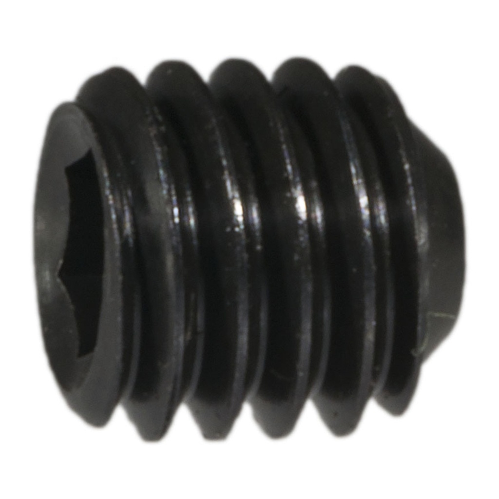 6mm-1.0 x 6mm Socket Set Screw