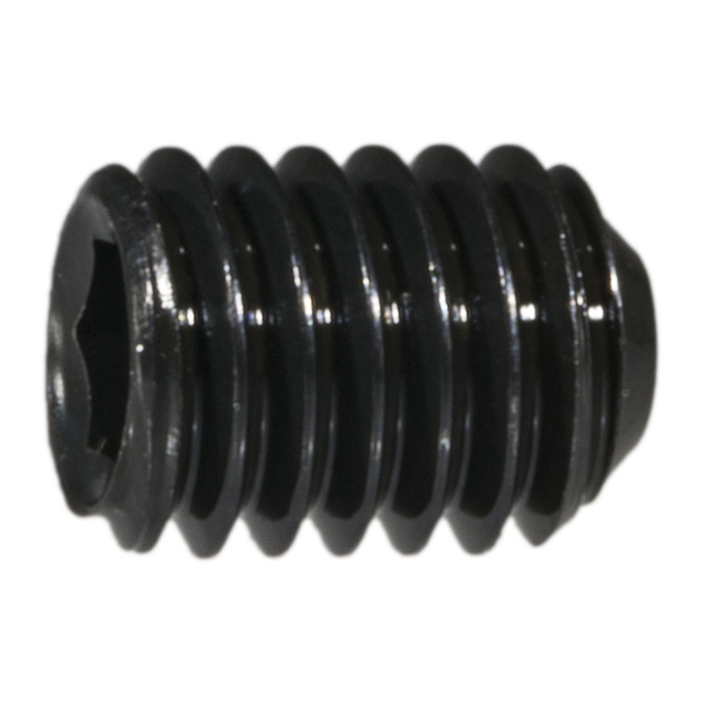 6mm-1.0 x 8mm Socket Set Screw
