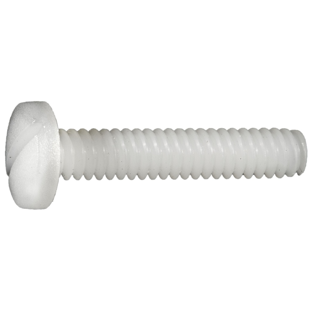 10-24 x 1 Nylon Screw