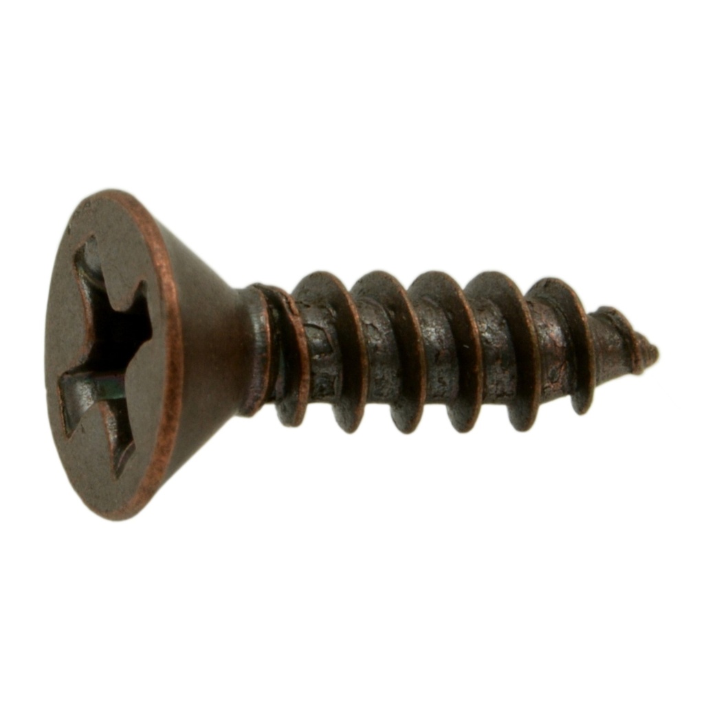 6 x 1/2 Ph Fl SMS Brass