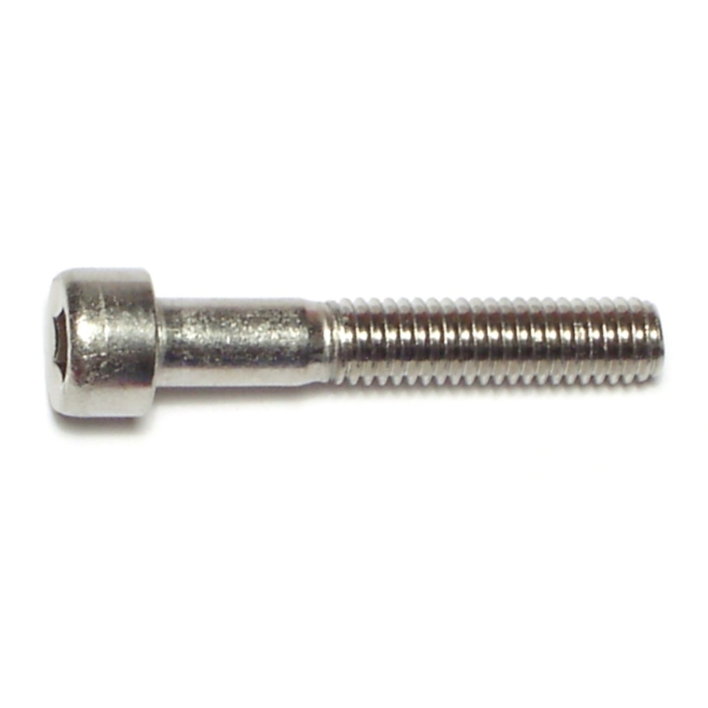 6mm-1.0 x 35Socket Cap Sc SS