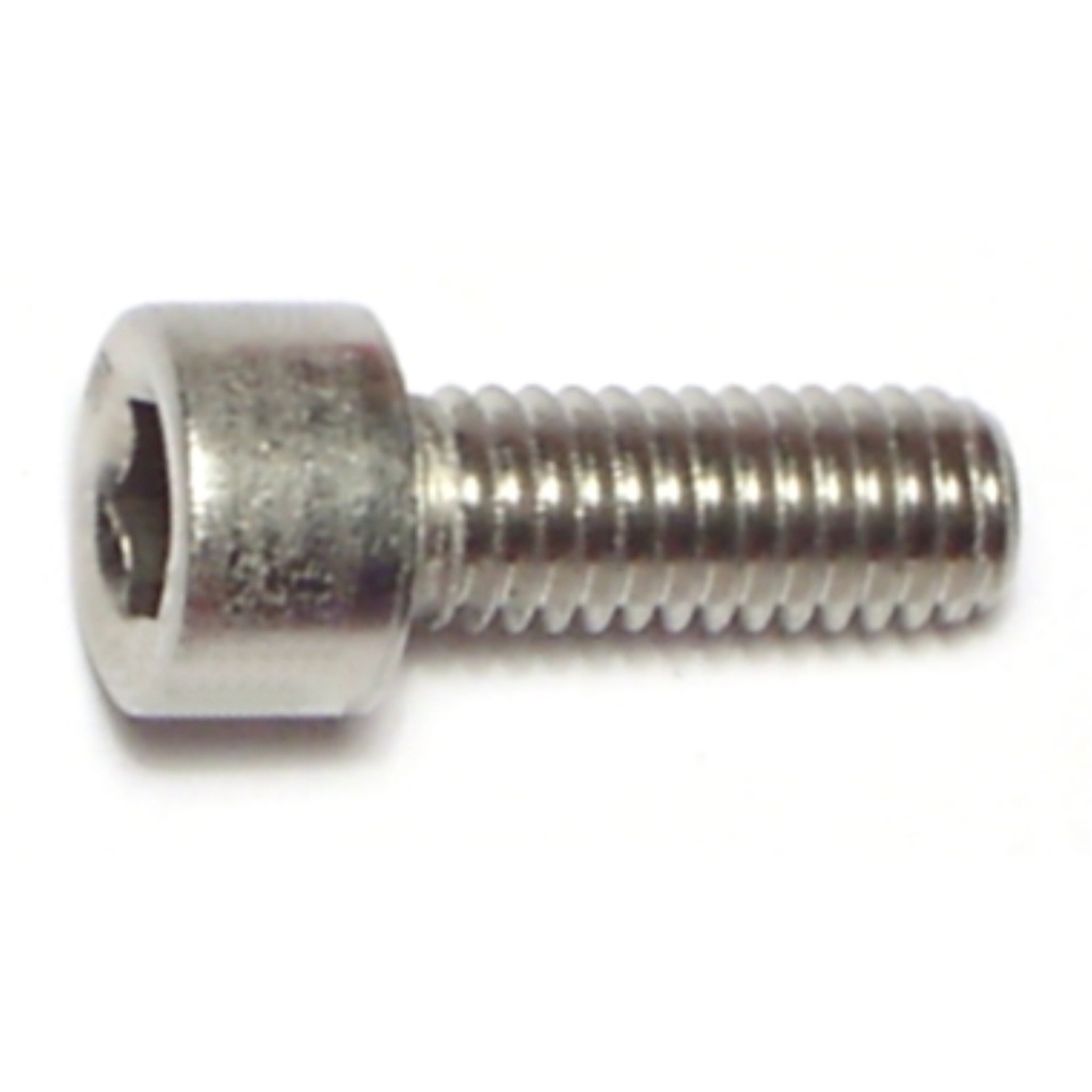6mm-1.0 x 16 Socket Cap Sc SS