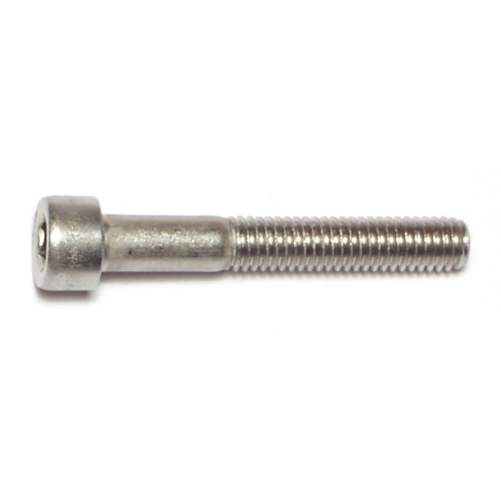 6mm-1.0 x 40 Socket Cap Sc SS