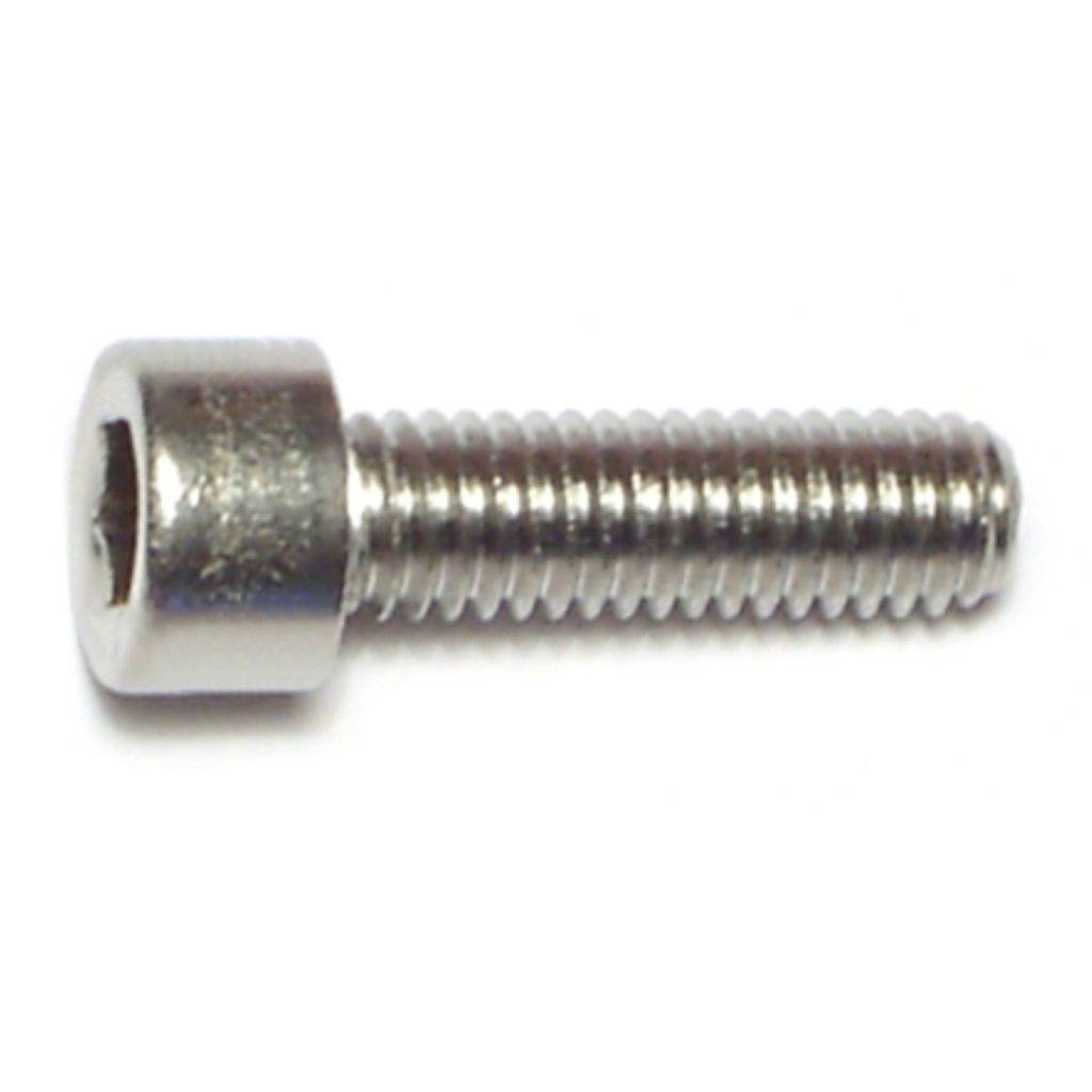 6mm-1.0 x 20Socket Cap Sc SS