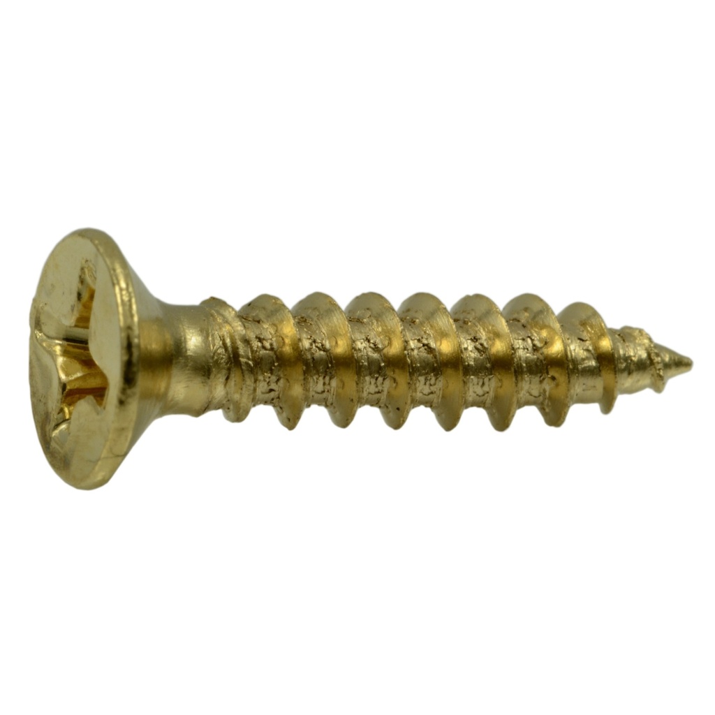 7 x 3/4 Ph Fl Hinge Br
