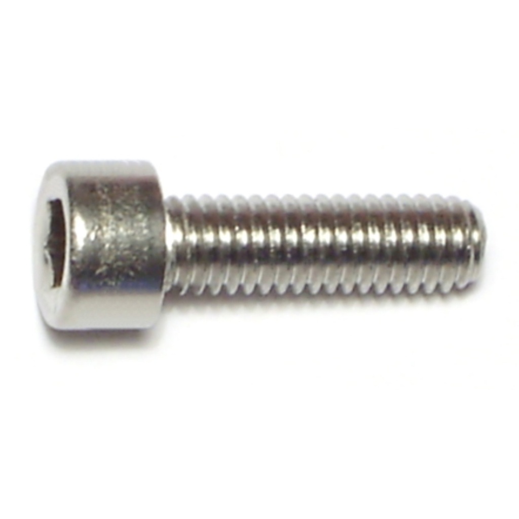 6mm-1.0 x 20mm Socket Cap Sc SS