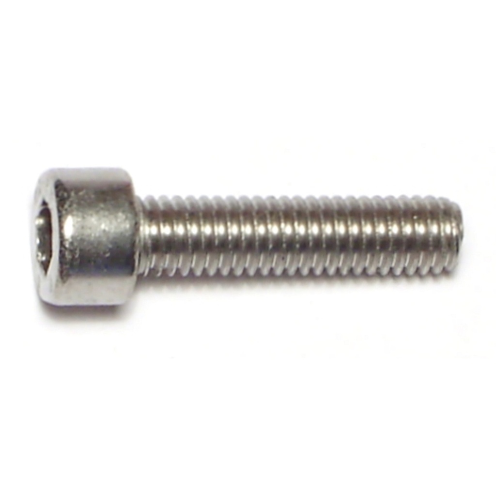 6mm-1.0 x 25mm Socket Cap Sc SS