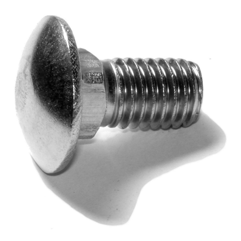 1/2-13 x 1 Carriage Bolt SS