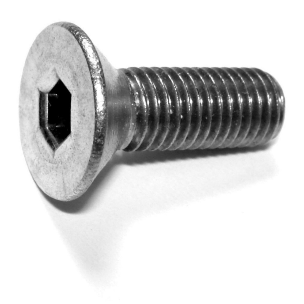 1/4-28 x 3/4 Flat Socket SS