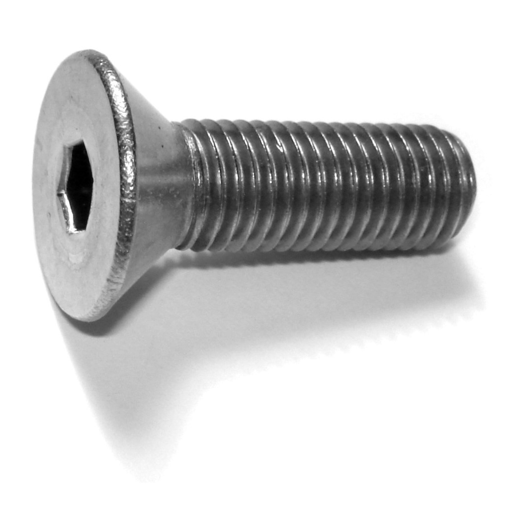 5/16-24 x 1 Flat Socket SS