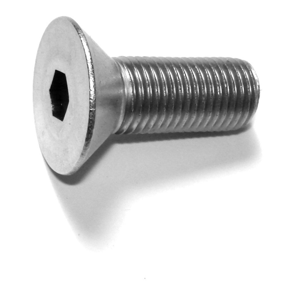 3/8-24 x 1 Flat Socket SS