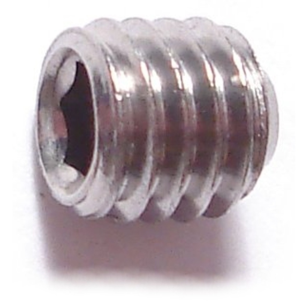 5mm-.8 x 5mm Sckt Set Scr SS