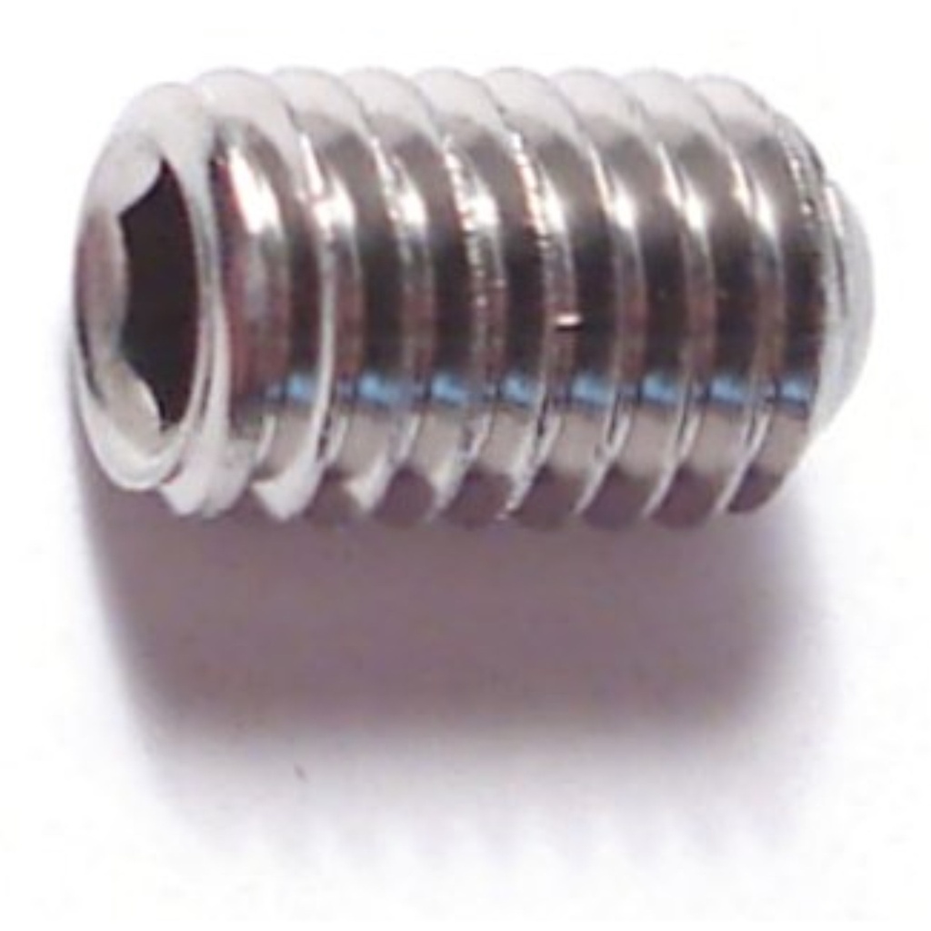 5mm-.8 x 8mm Sckt Set Scr SS
