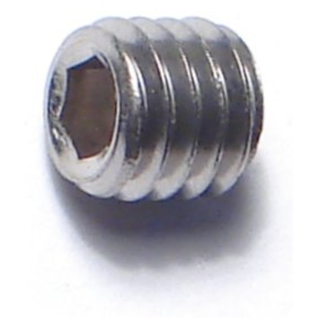 6mm-1.0 x 6mm Sckt Set Scr SS