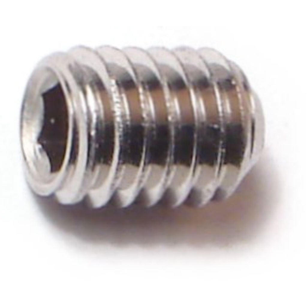 6mm-1.0 x 8mm Sckt Set Scr SS
